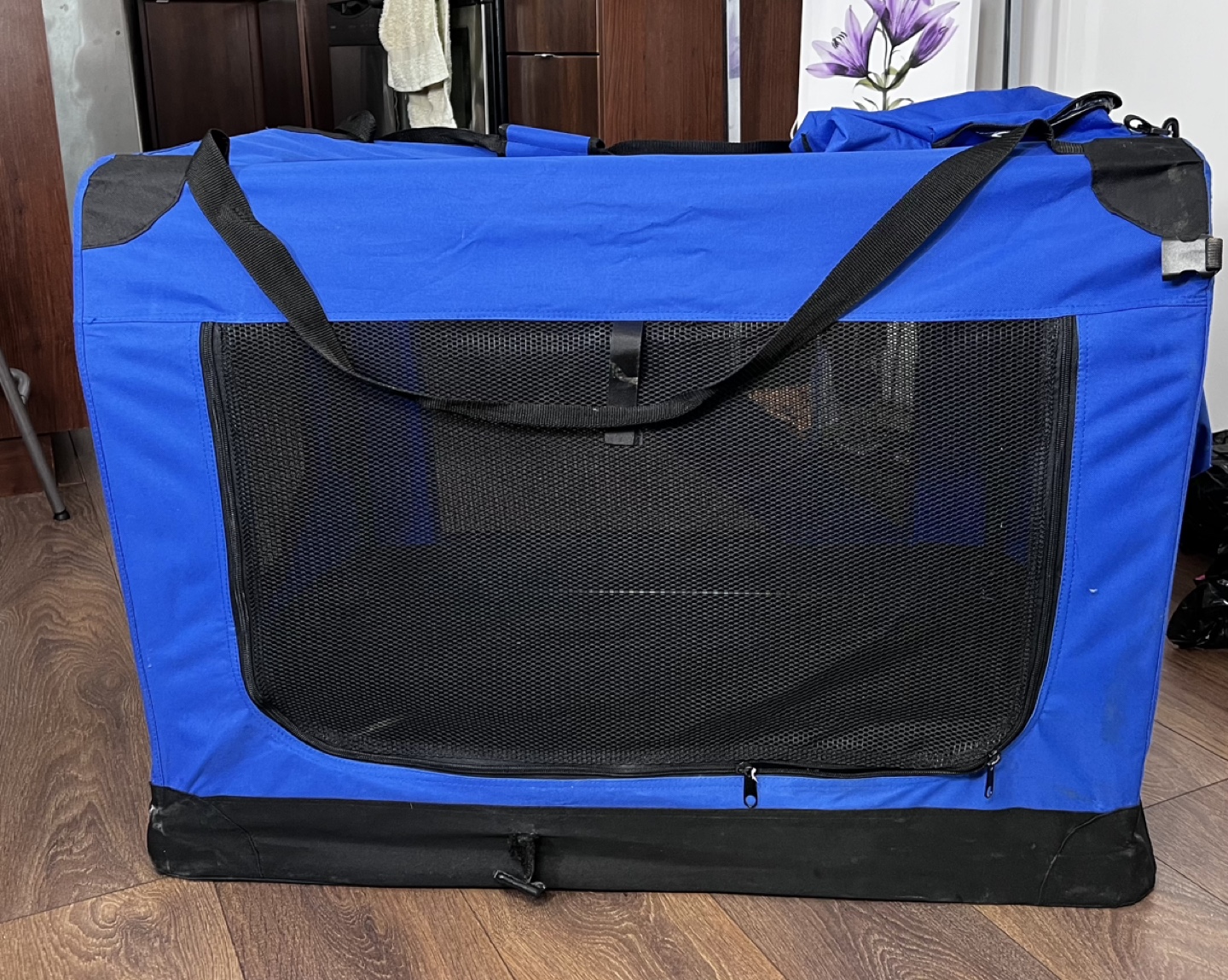 Blue Collapsible Pet Crate