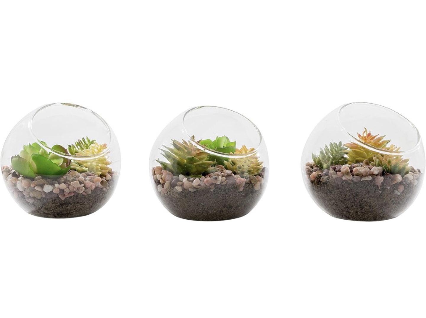 Set of 3 Glass Terrariums - photo 3