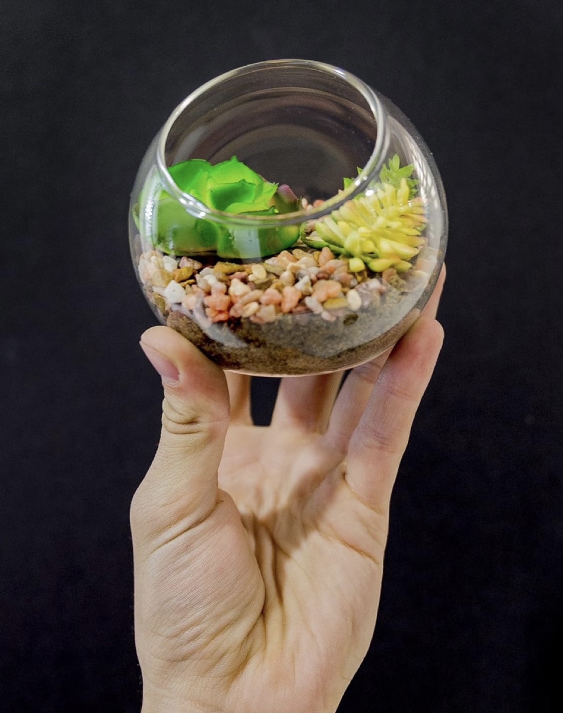 Set of 3 Glass Terrariums - photo 2
