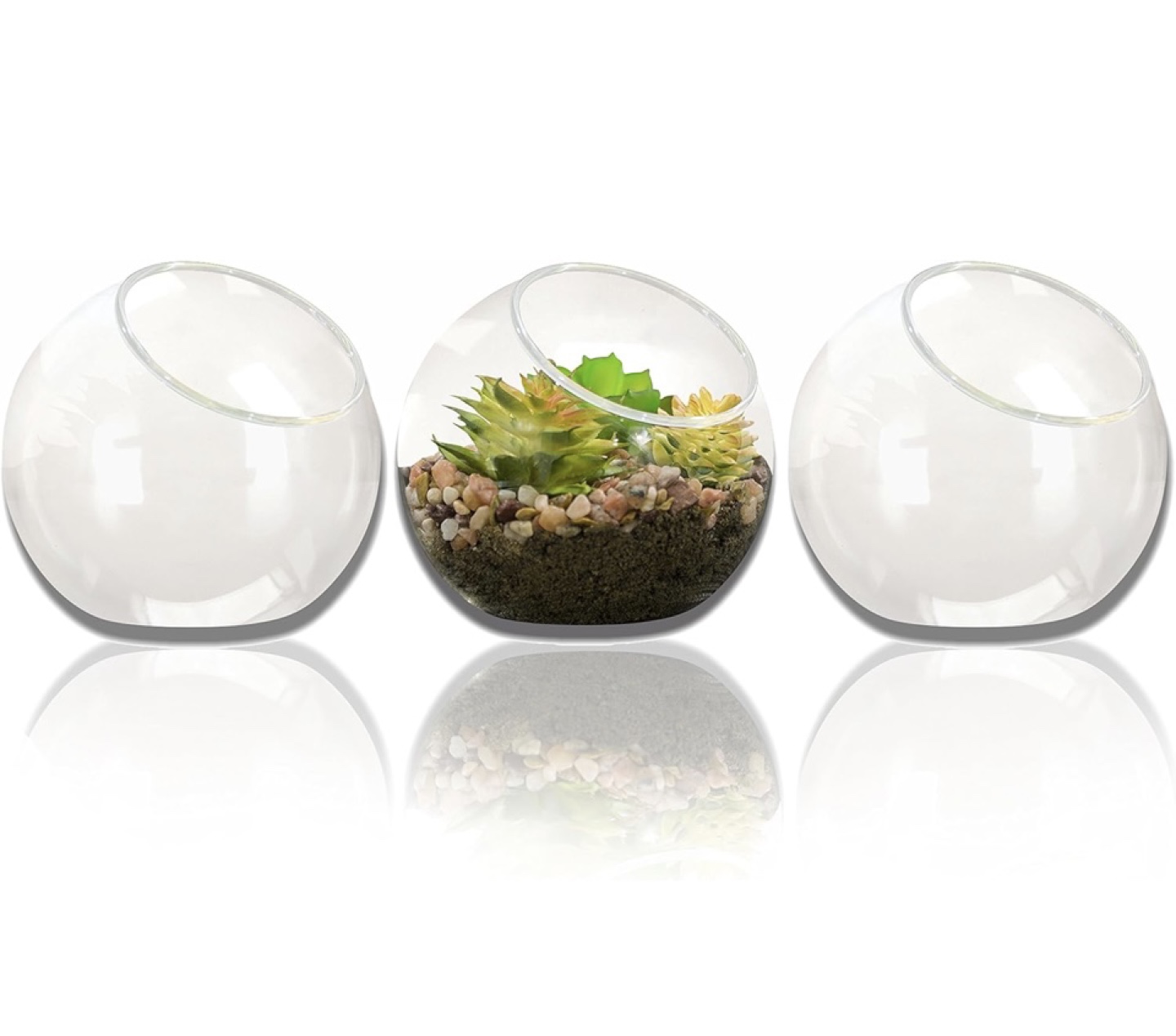 Set of 3 Glass Terrariums - photo 4
