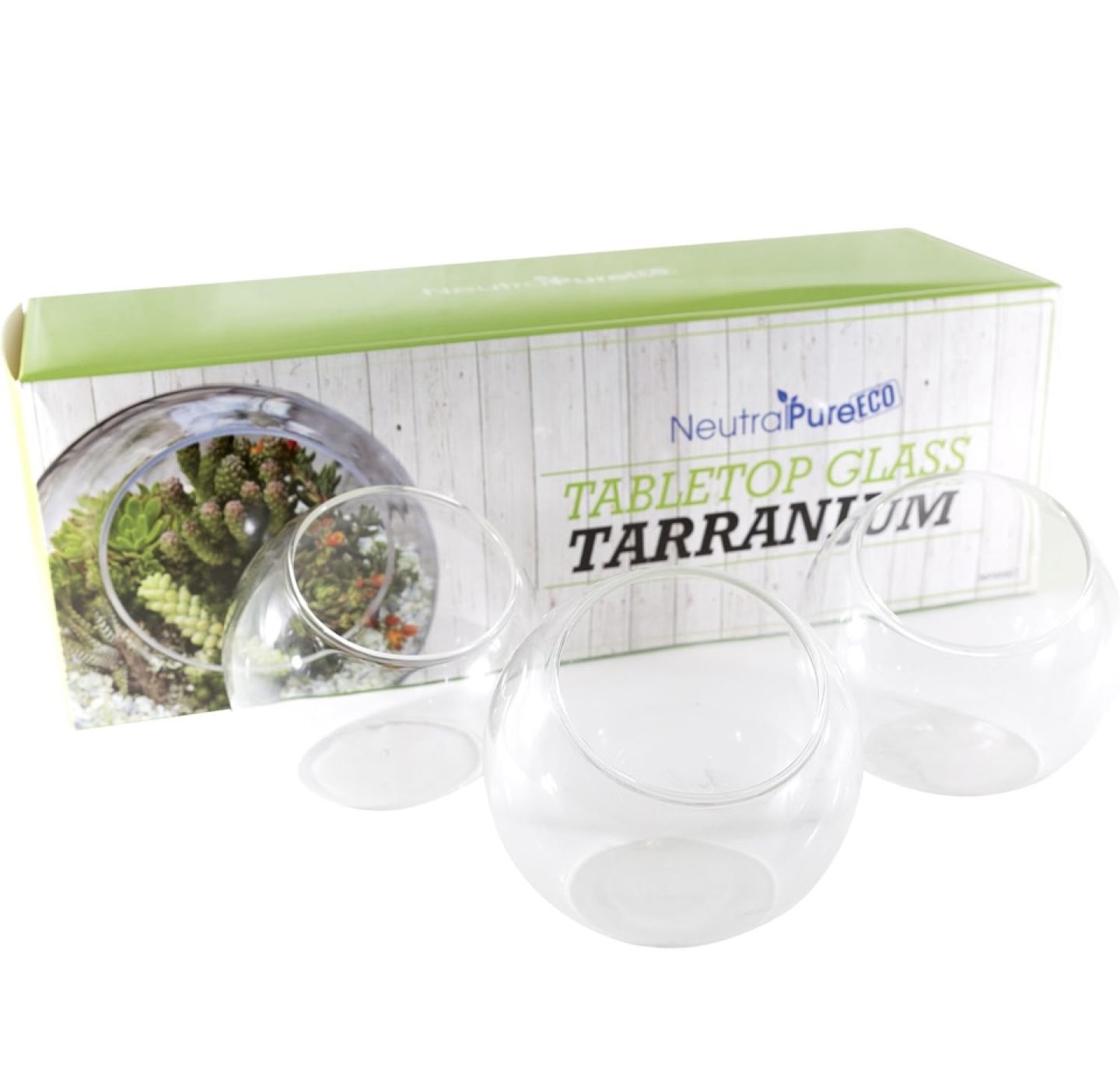 Set of 3 Glass Terrariums