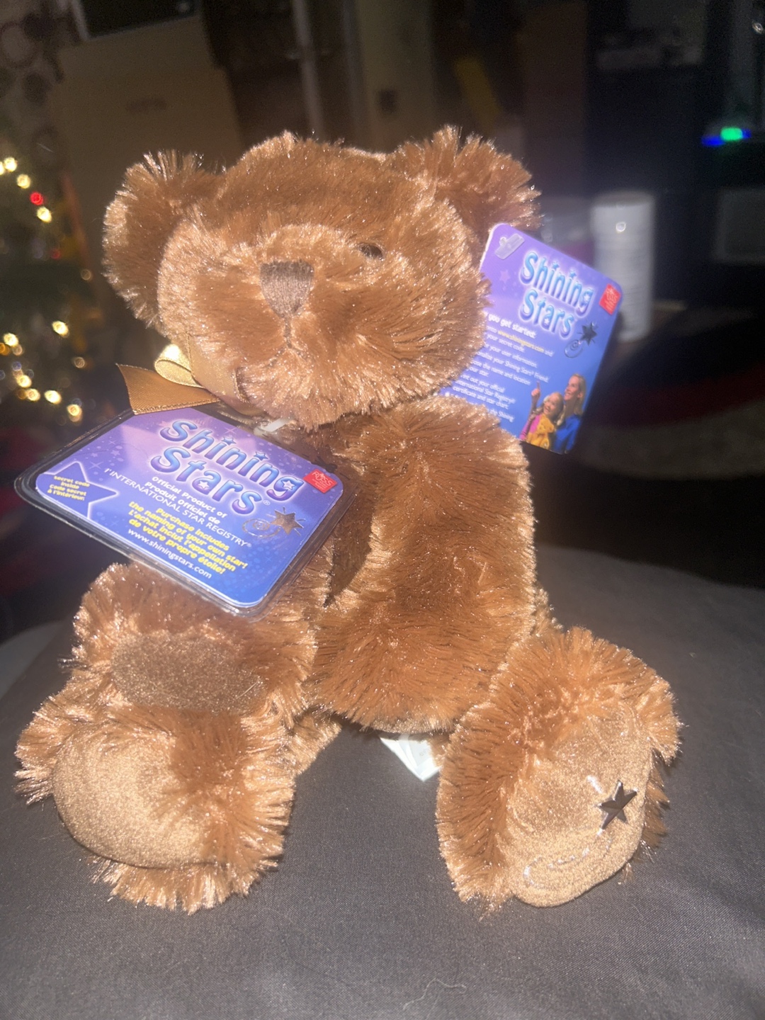 Shining Stars Plush Bear