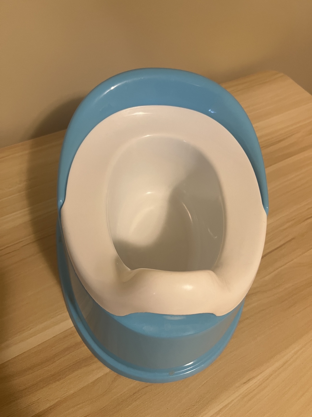 Potty Training Toilet