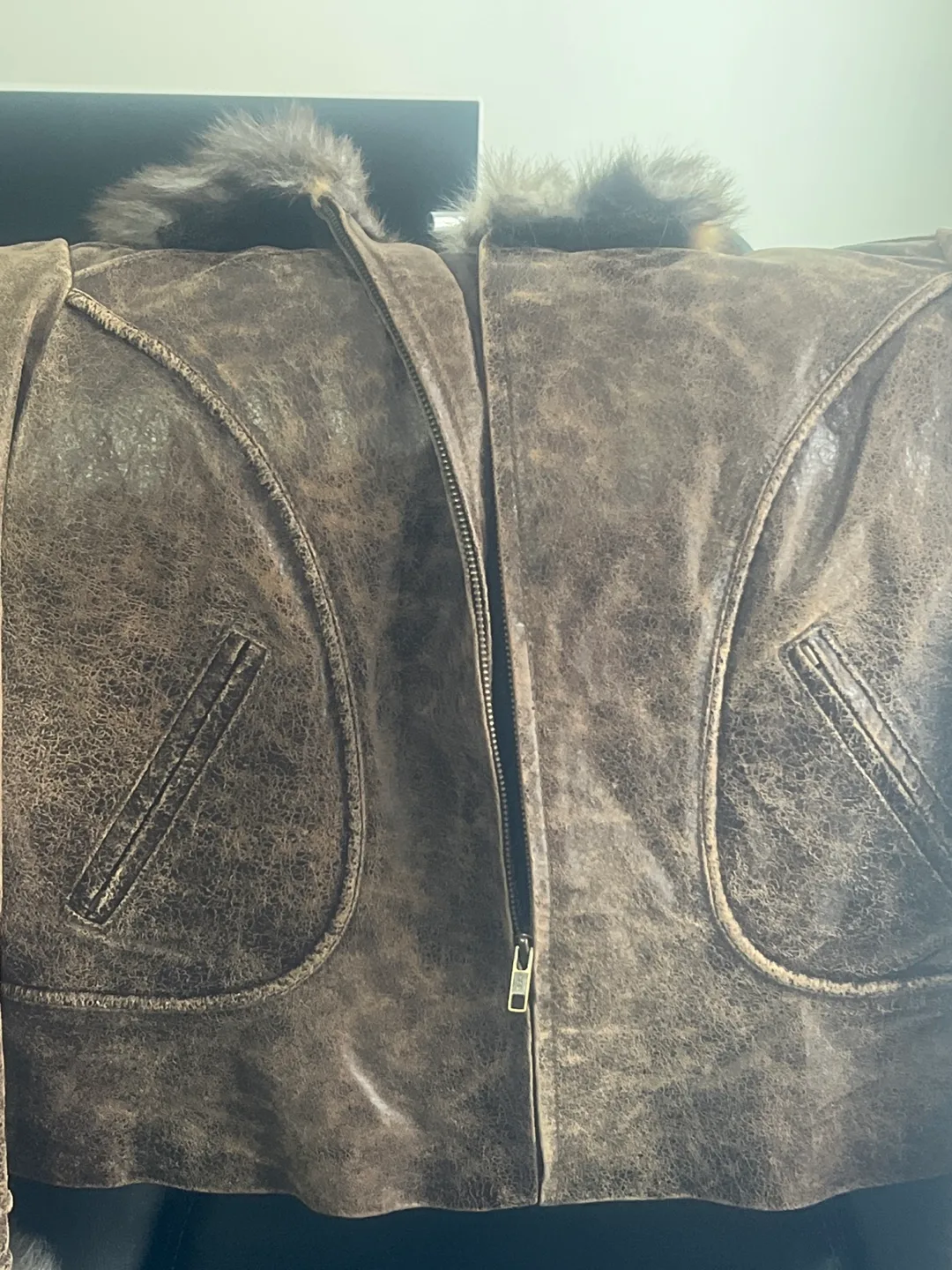 Danier Brown Leather Jacket with Fur Trim image indicator(4)