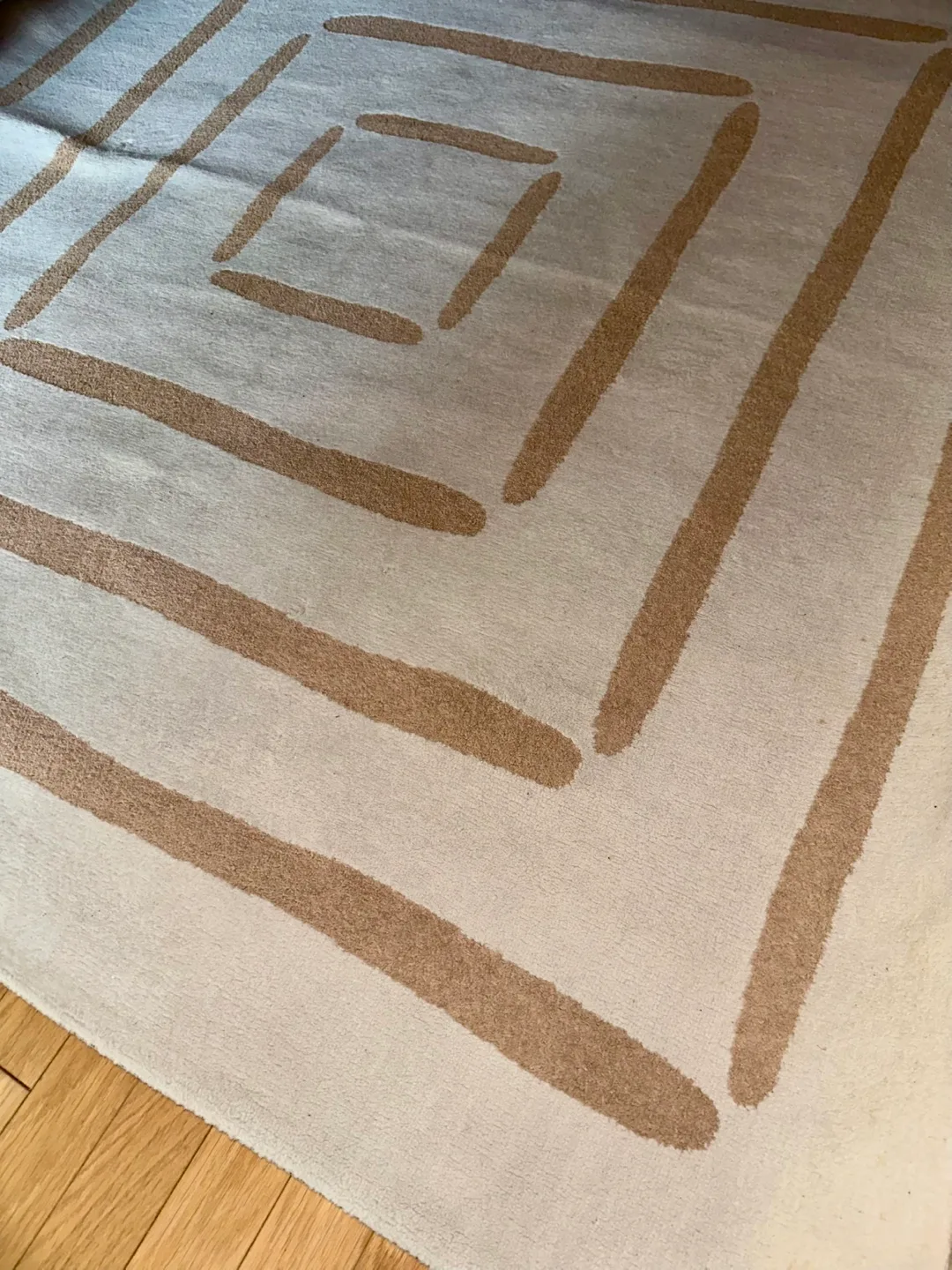 Large Area Rug, Beige and White image indicator(2)