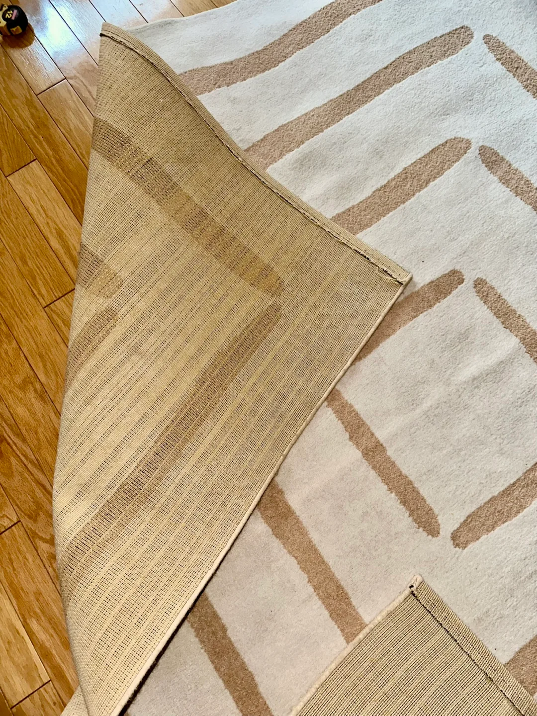 Large Area Rug, Beige and White image indicator(5)