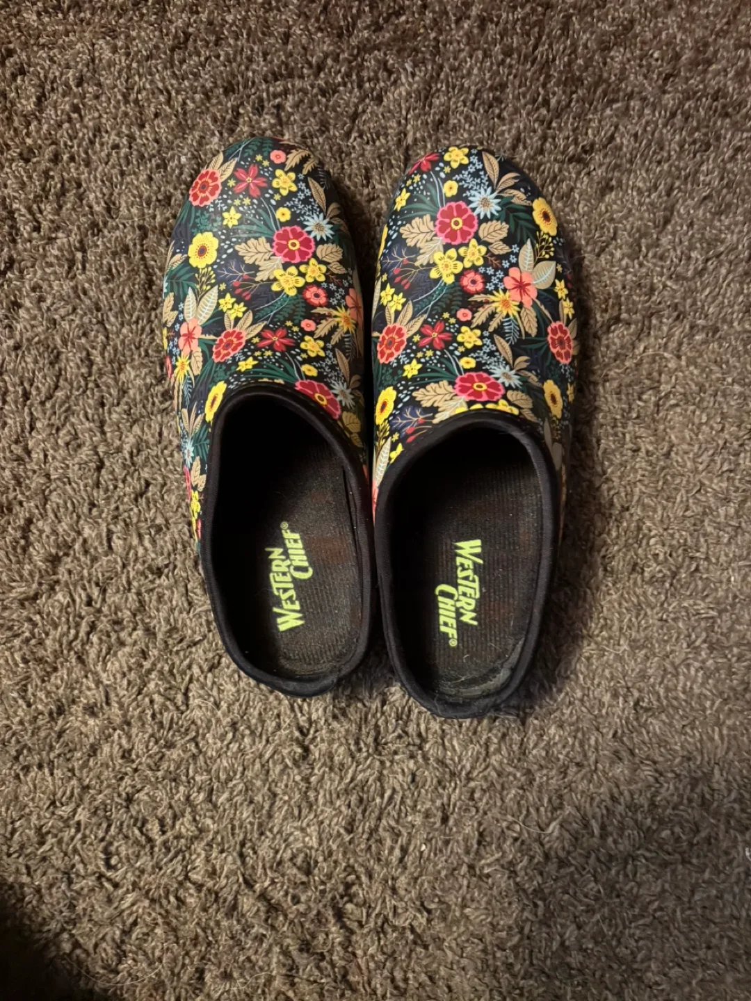 Western Chief Floral Clogs