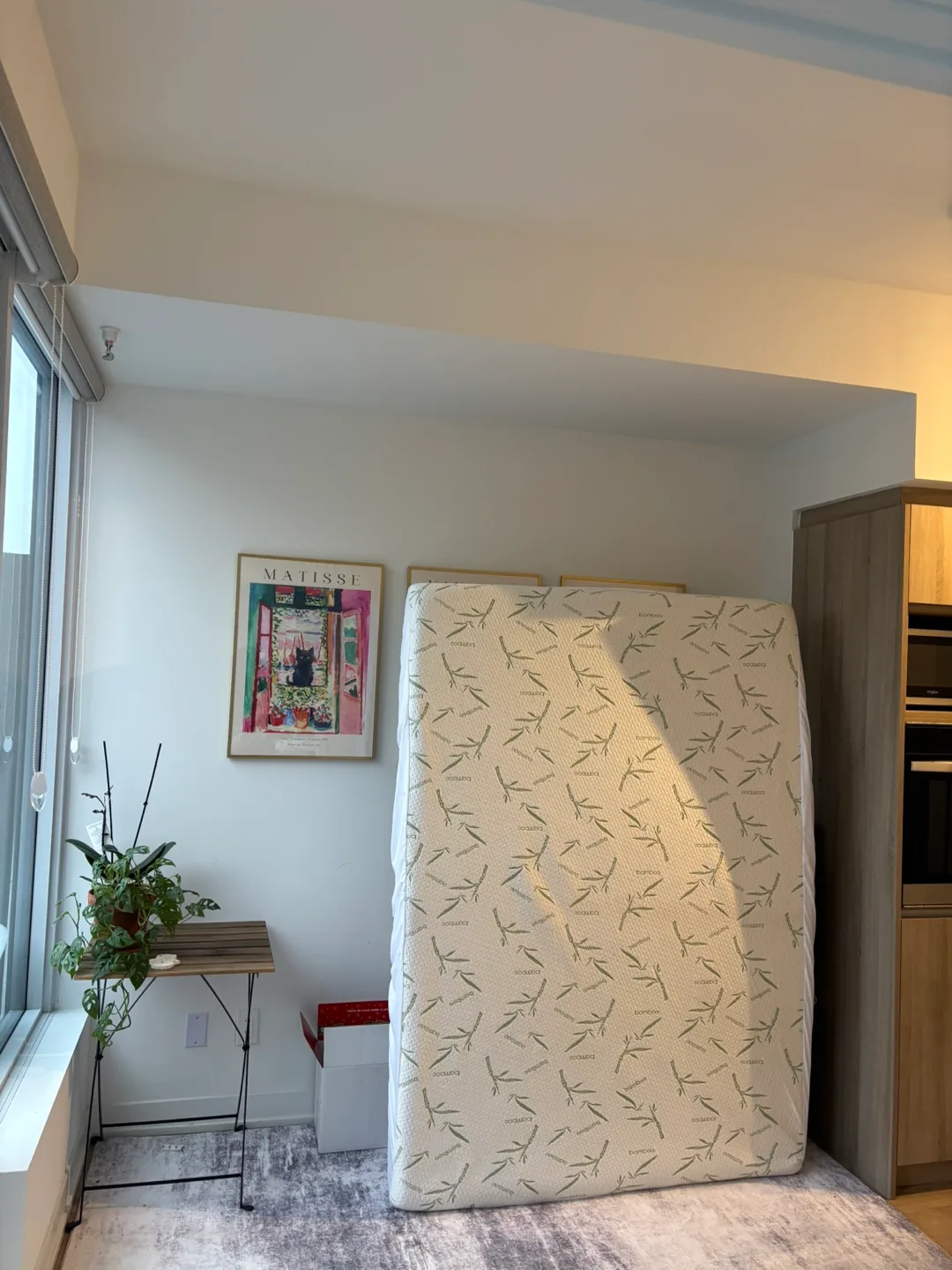Full Size Mattress and protector thumbnail