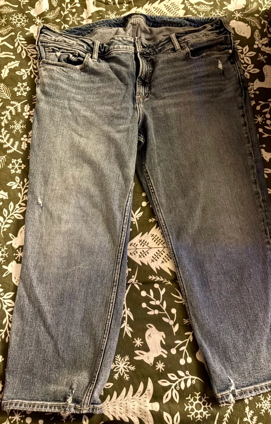 Silver Jeans Co. Women's Jeans