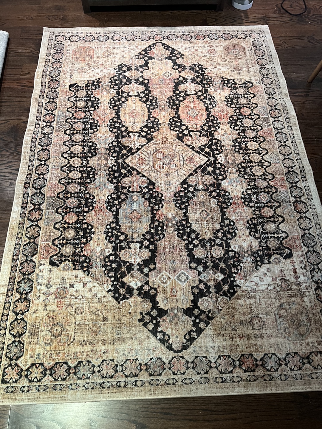Area Rug - almost brand new