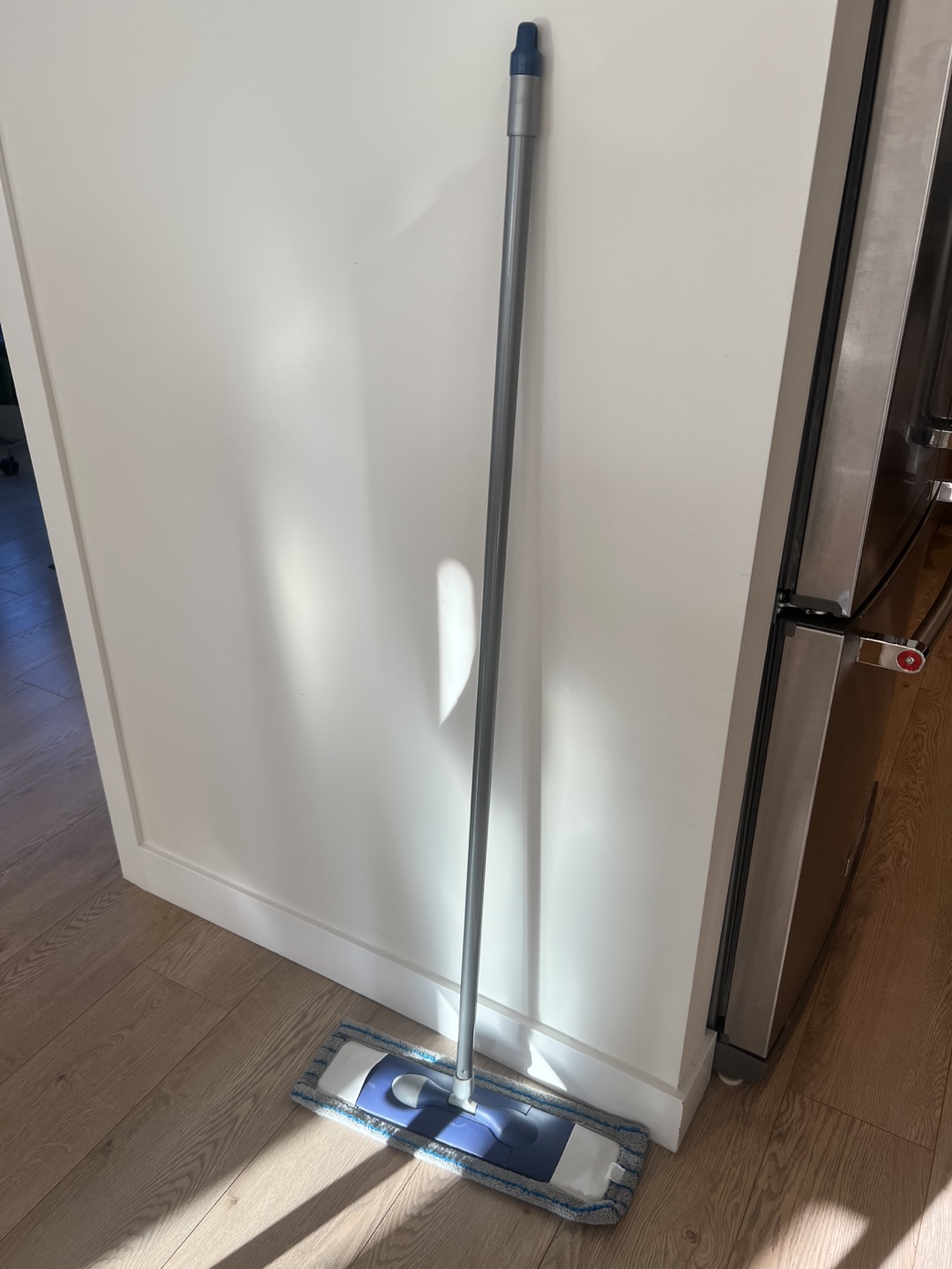 Mop with detachable pad