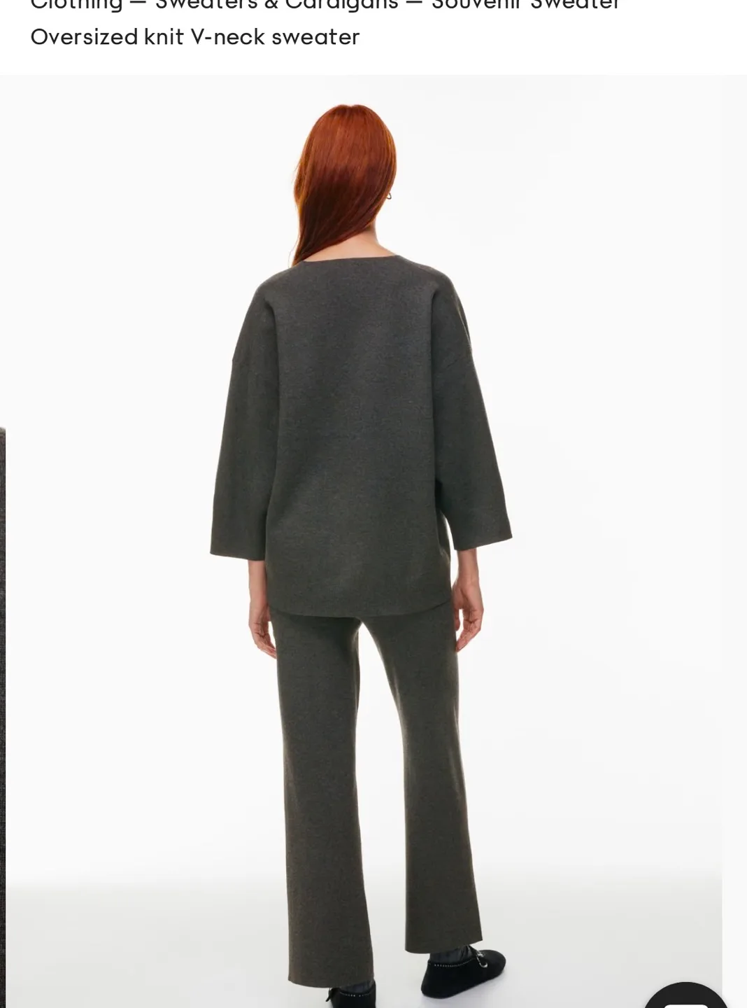 ARITZIA WILFRED Souvenir Sweater Scarab color $50 image indicator(3)