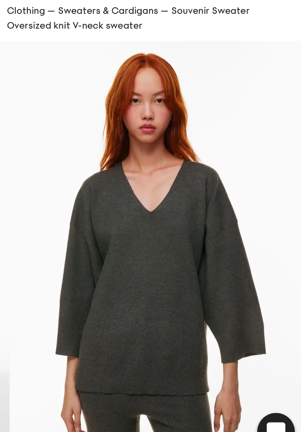 ARITZIA WILFRED Souvenir Sweater Scarab color $50 image indicator(2)