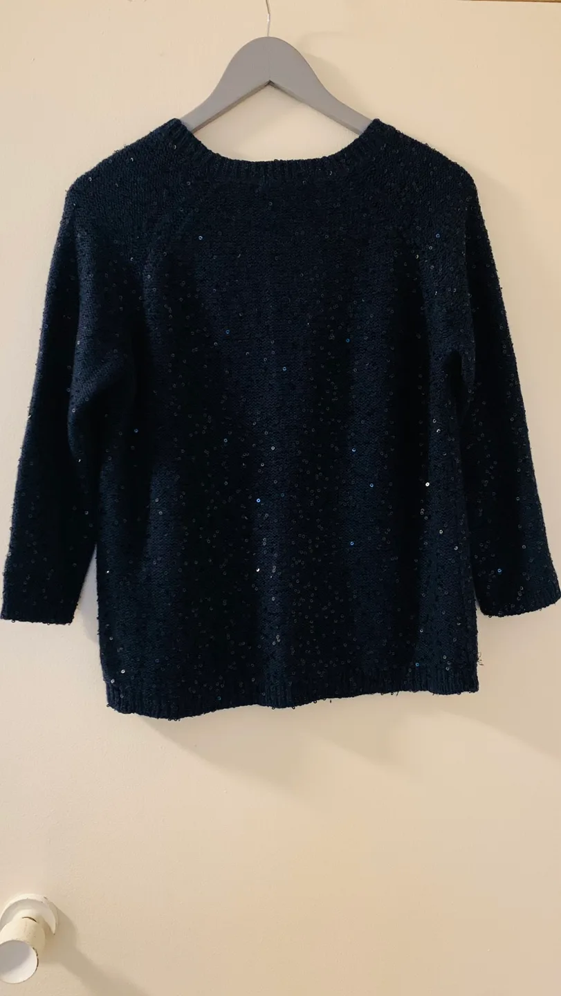 Laura Ashley Sparkly Sweater image indicator(2)