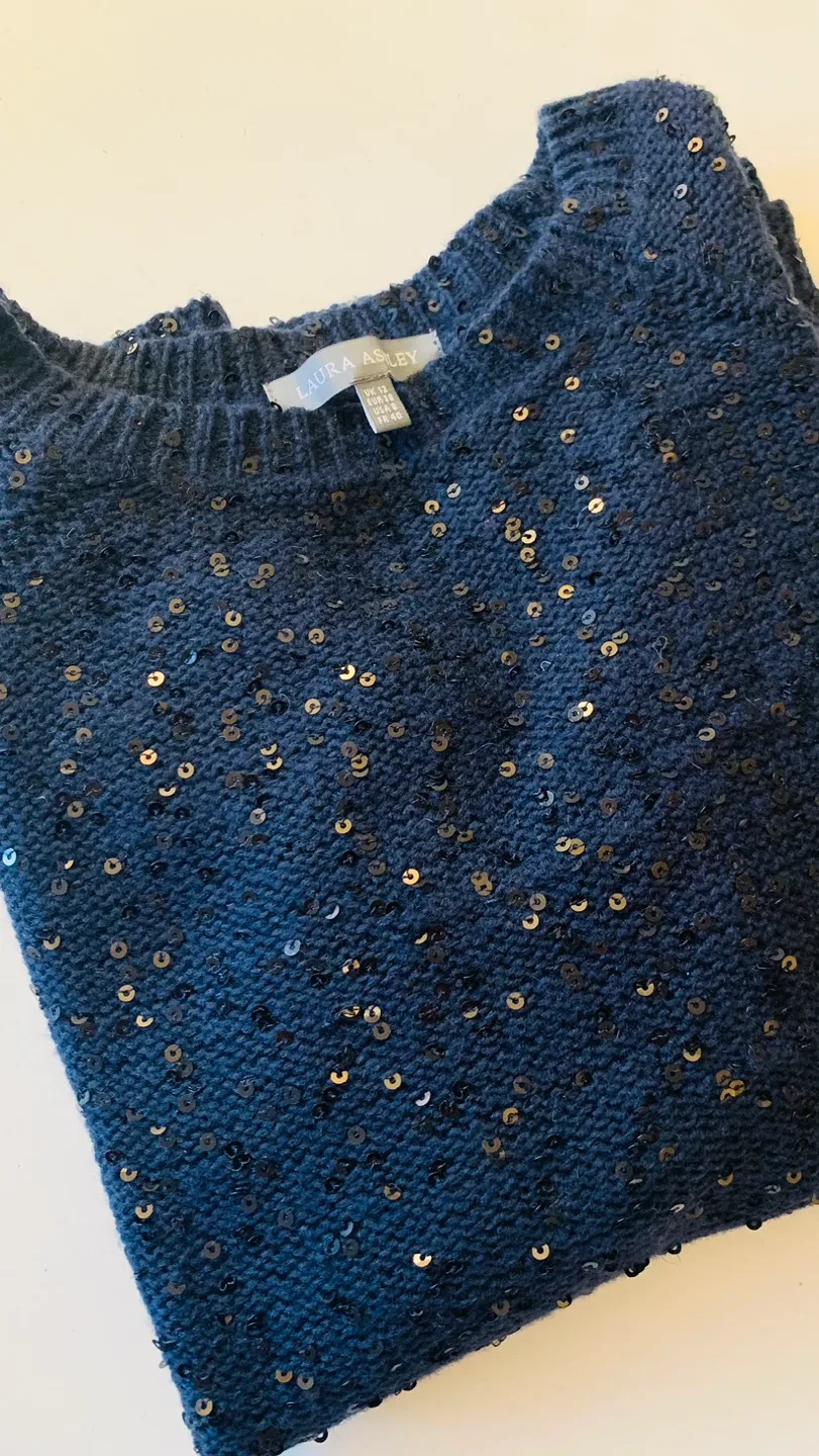 Laura Ashley Sparkly Sweater image indicator(6)