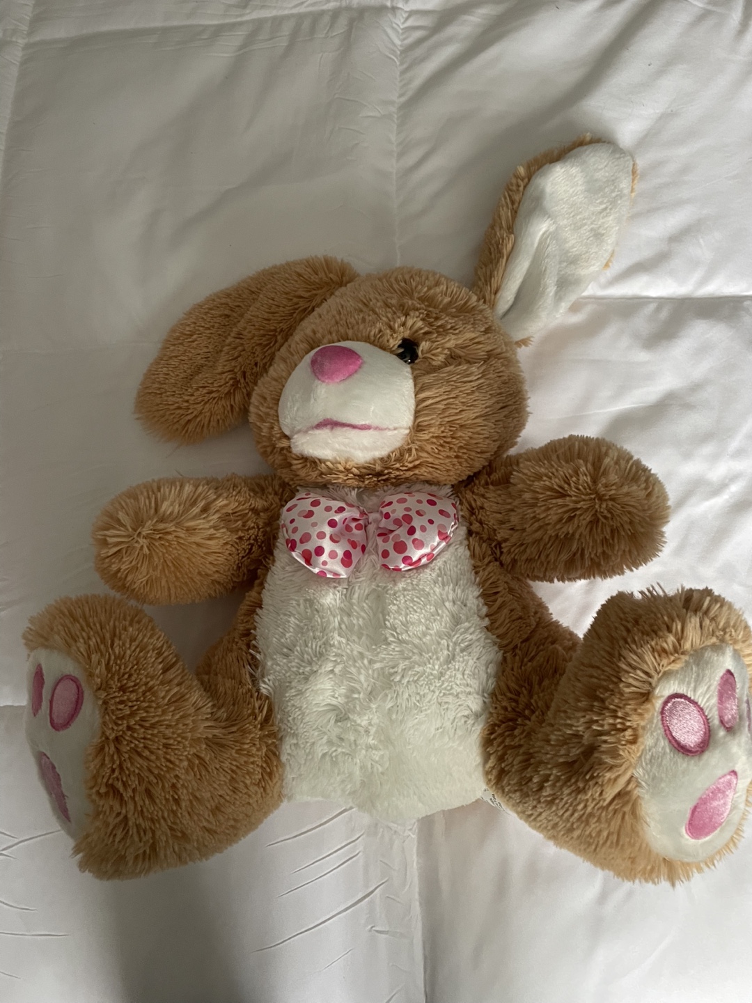 Brown and White Plush Bunny