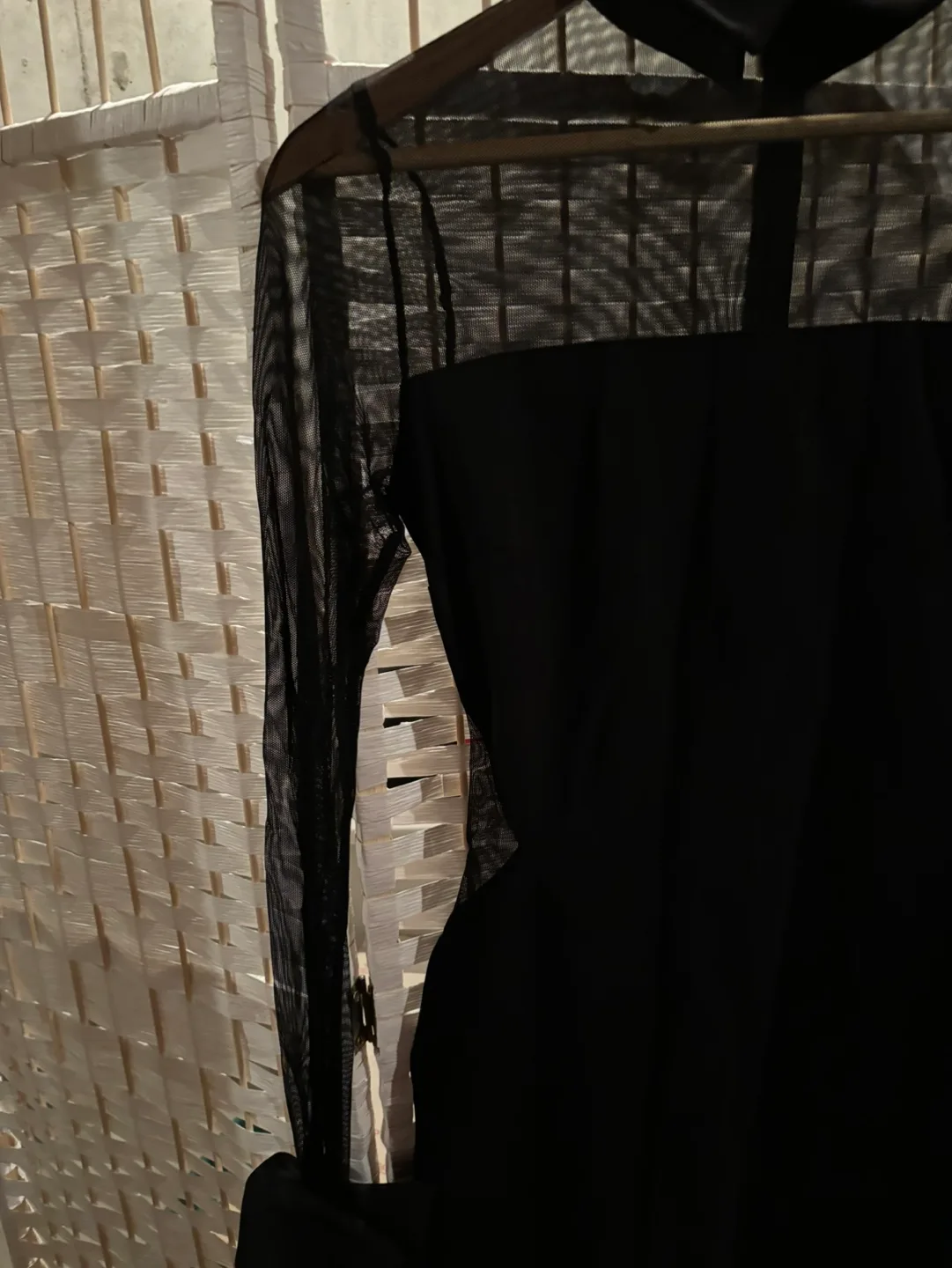 Black Sheer Mesh Dress image indicator(2)