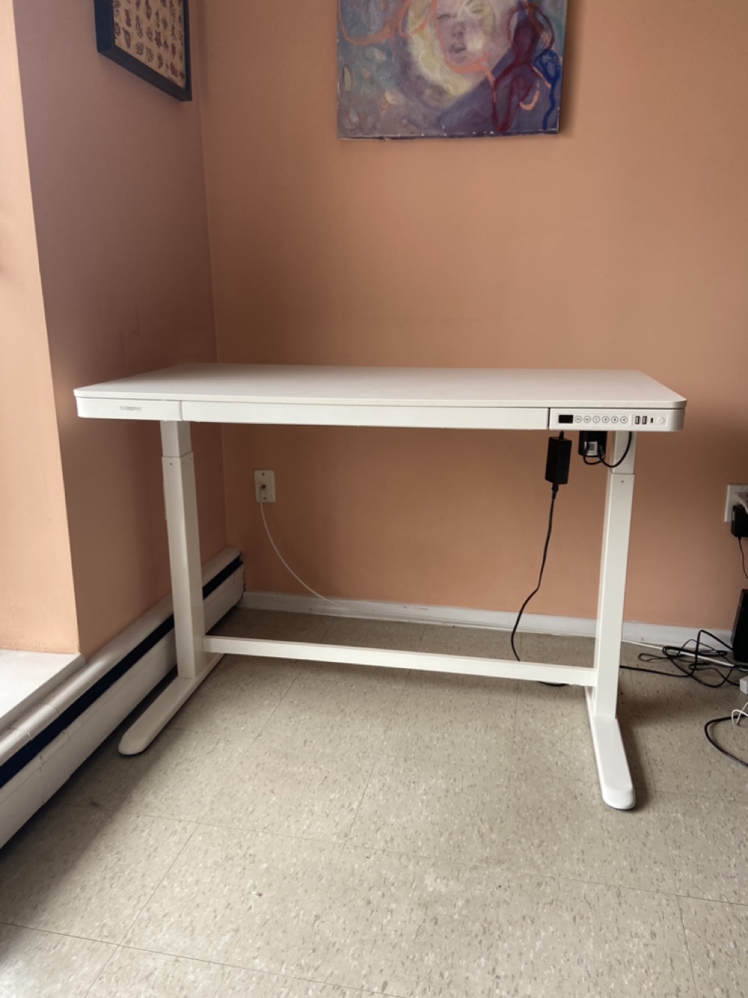 Flexispot Electric Standing Desk