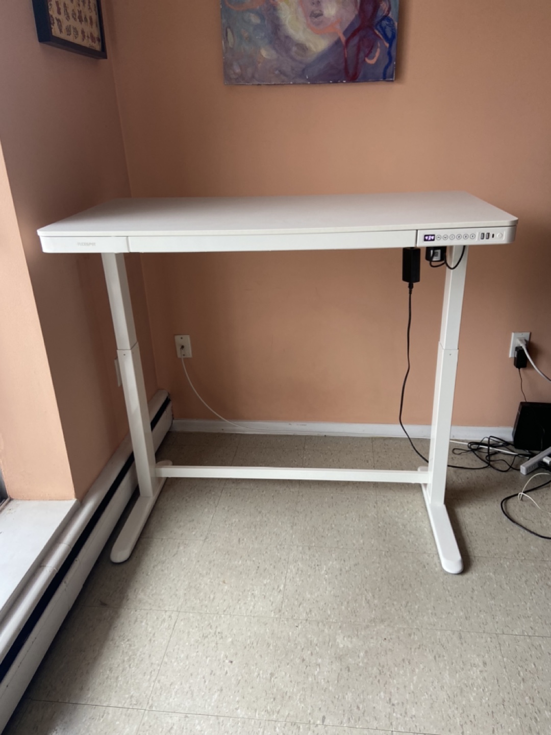 Flexispot Electric Standing Desk - photo 2