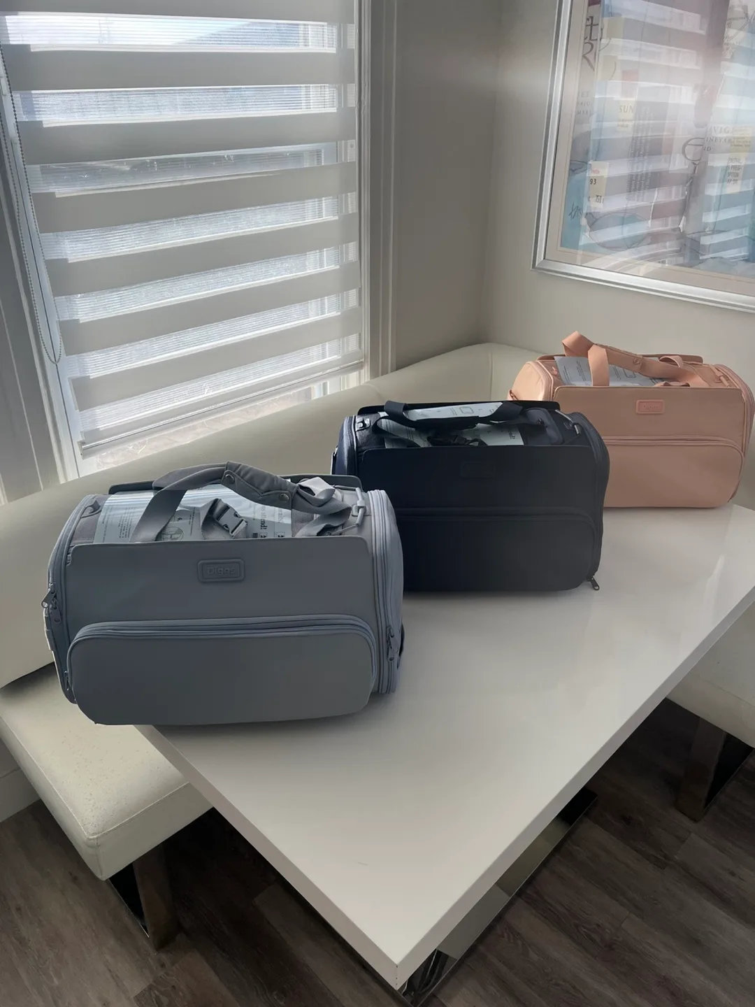 Passenger Travel Carrier by Diggs image indicator(2)