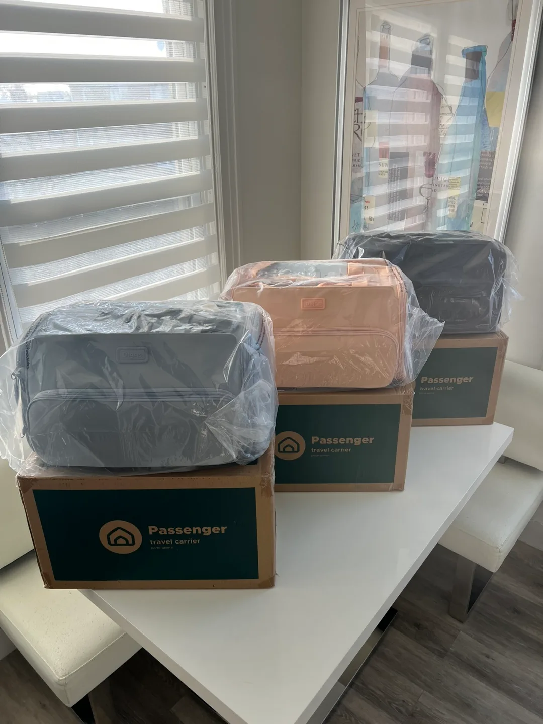 Passenger Travel Carrier by Diggs image indicator(3)