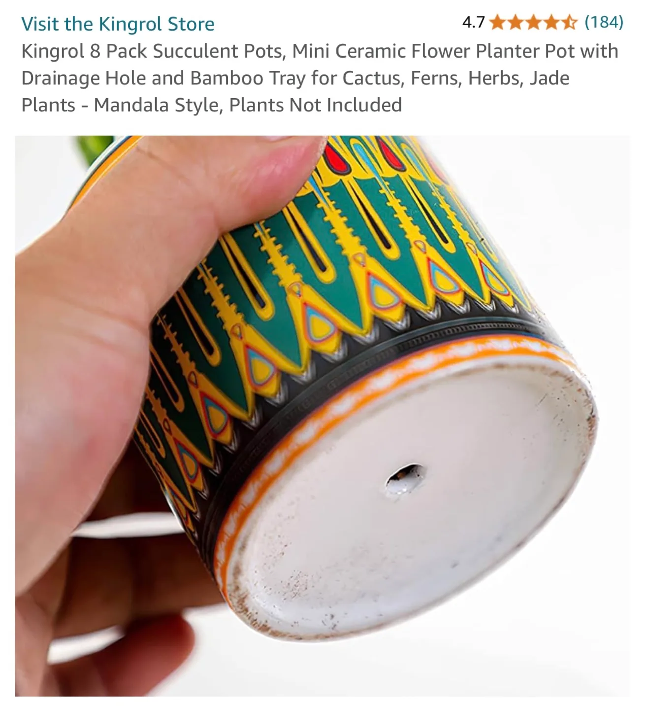 8 Pack Ceramic Succulent Pots with Bamboo Tray image indicator(3)