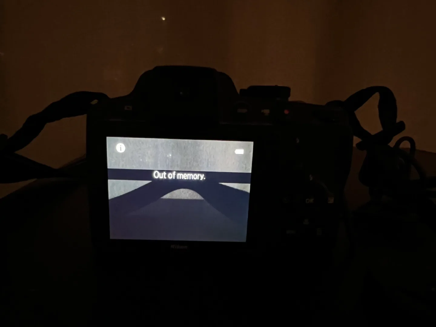 Nikon Coolpix P510 Digital Camera image indicator(5)