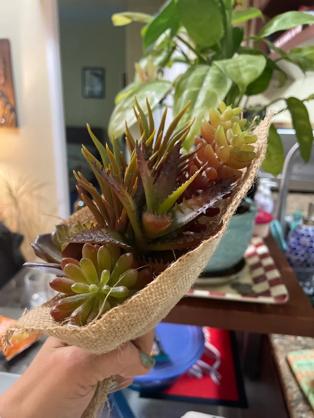 Artificial Succulent Bouquet image indicator(2)