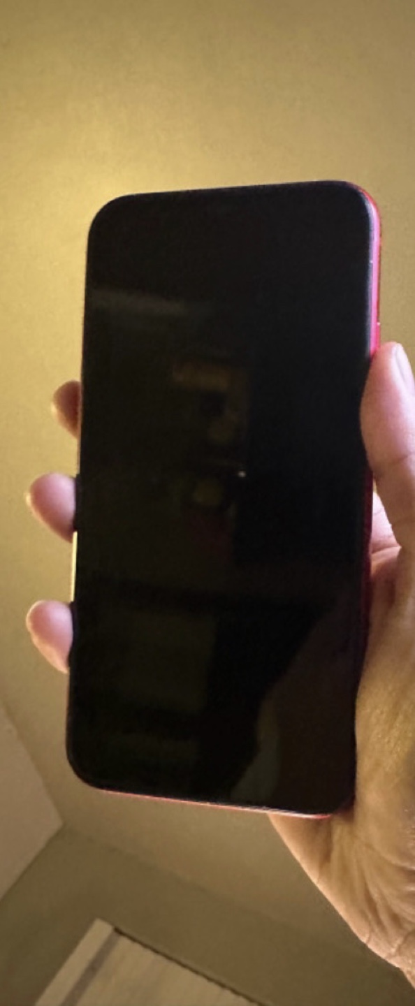 iPhone 11 (PRODUCT)RED 64 GB