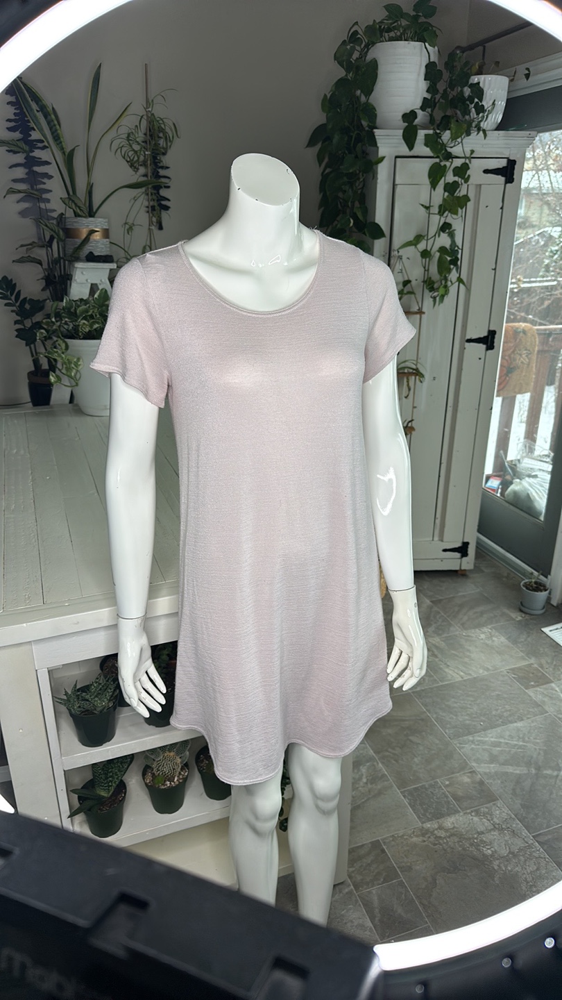 Aritzia Babaton Wilfred T-Shirt Dress - photo 3