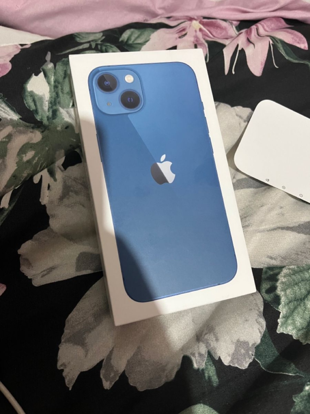 iPhone 13  in blue