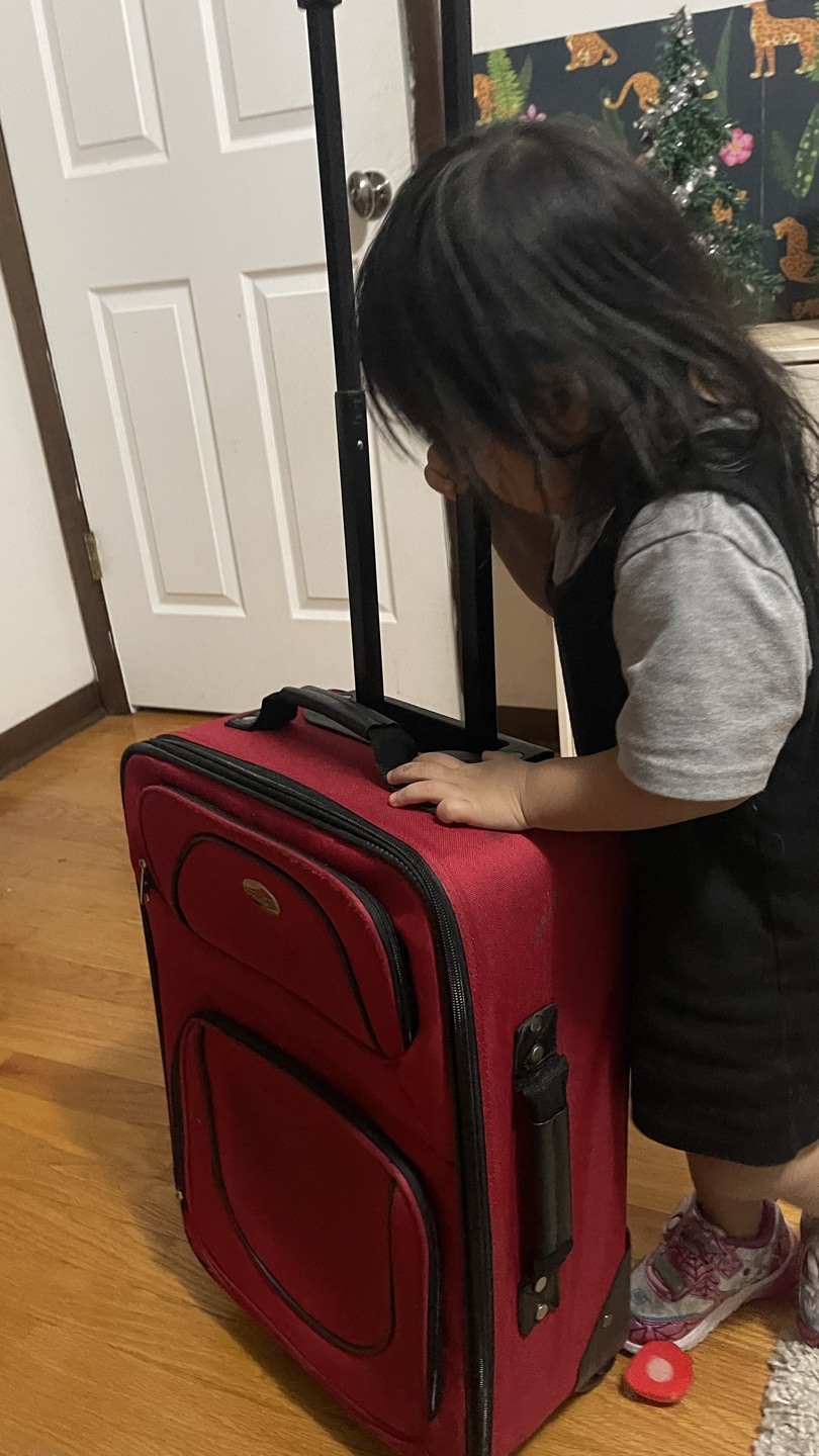American Tourister Rolling Luggage check more pictures - photo 3