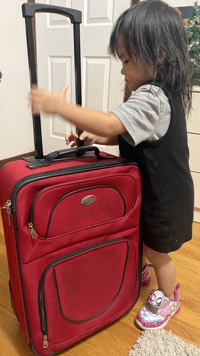American Tourister Rolling Luggage check more pictures