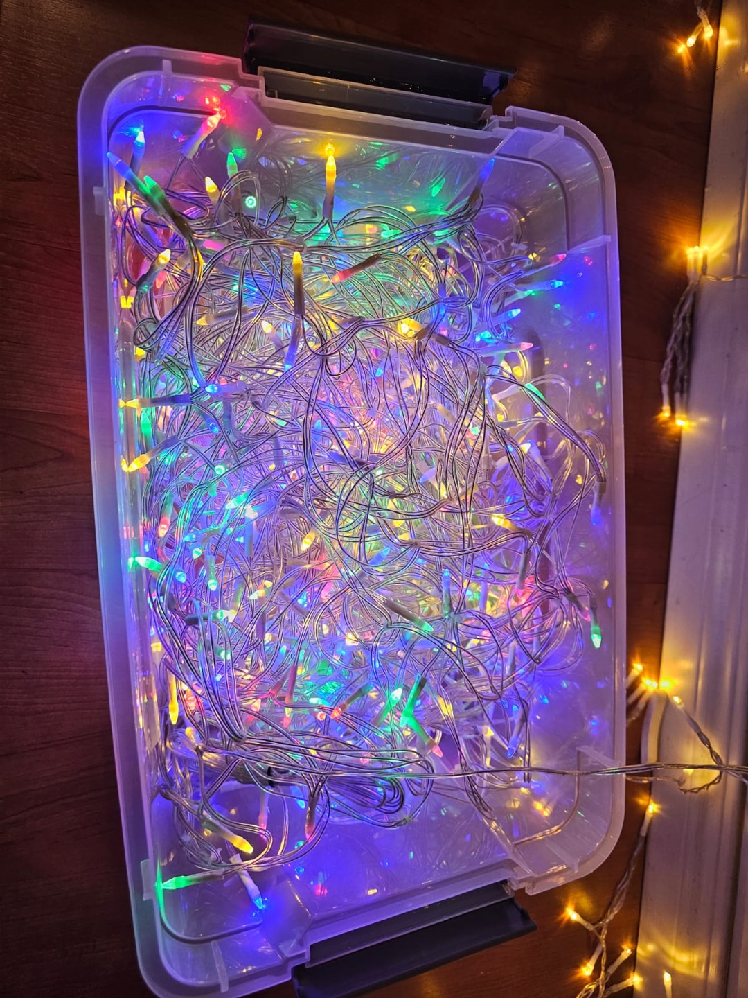 Christmas lights - photo 3