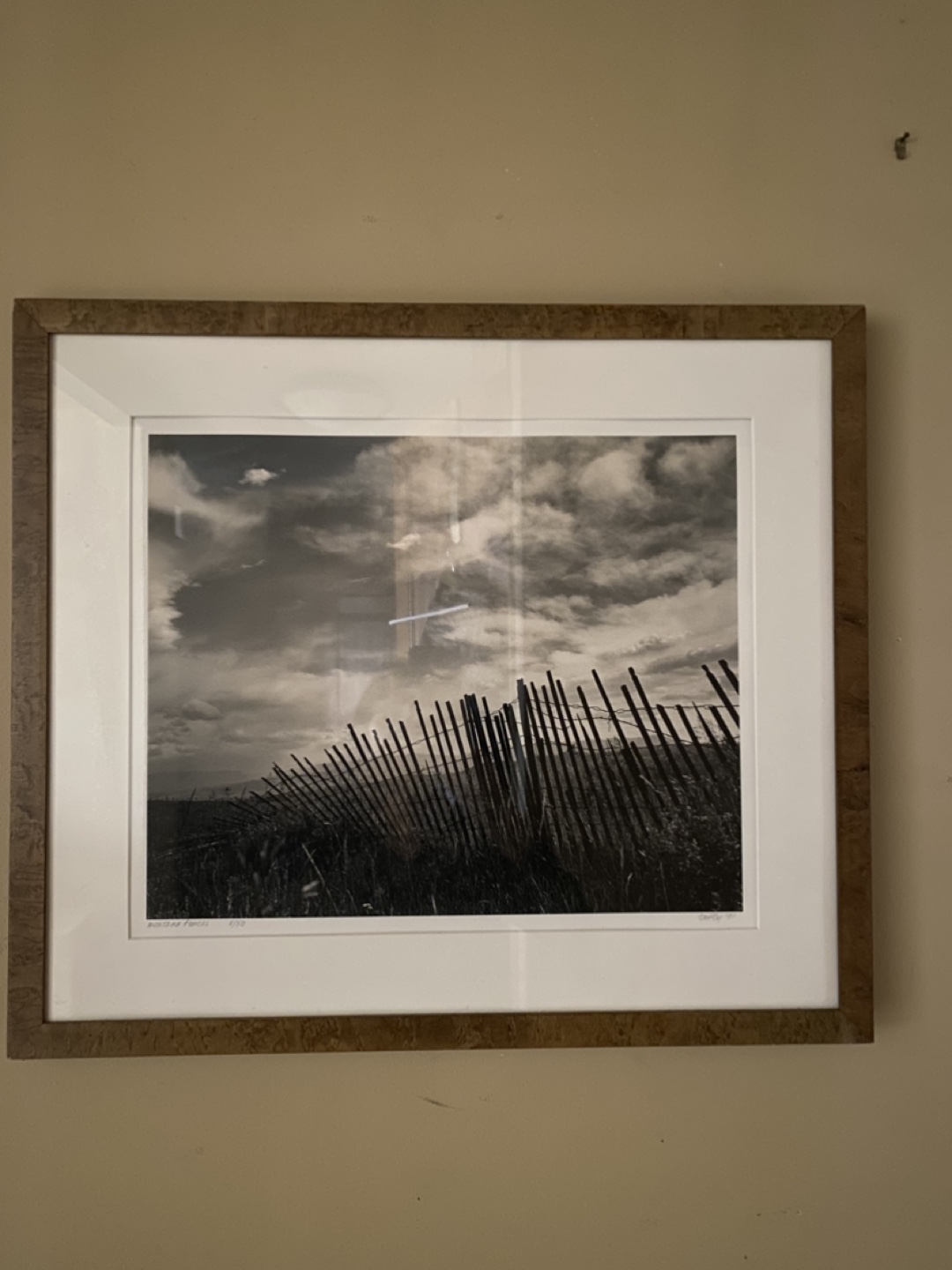 Sand dune photo