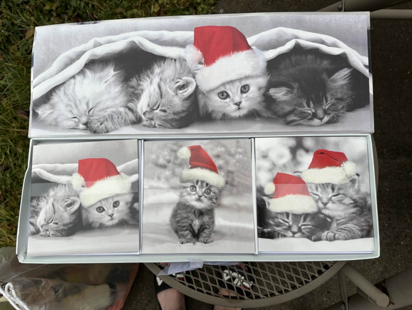 Cute Kitten-ish Cats Christmas Cards