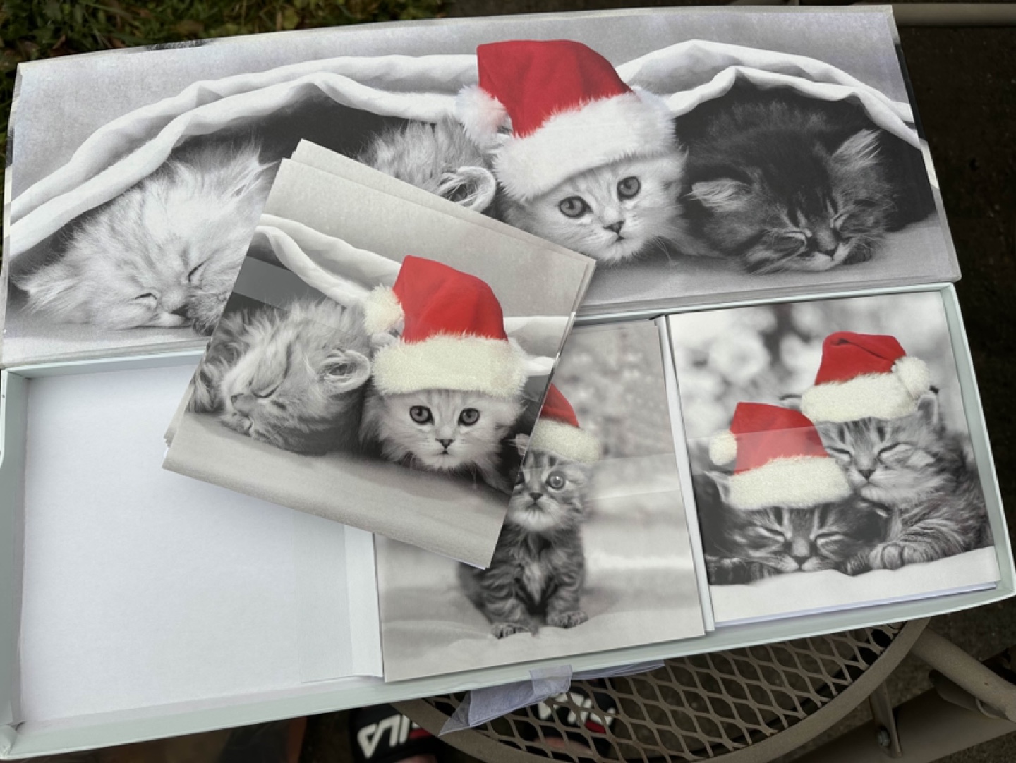 Cute Kitten-ish Cats Christmas Cards - photo 2