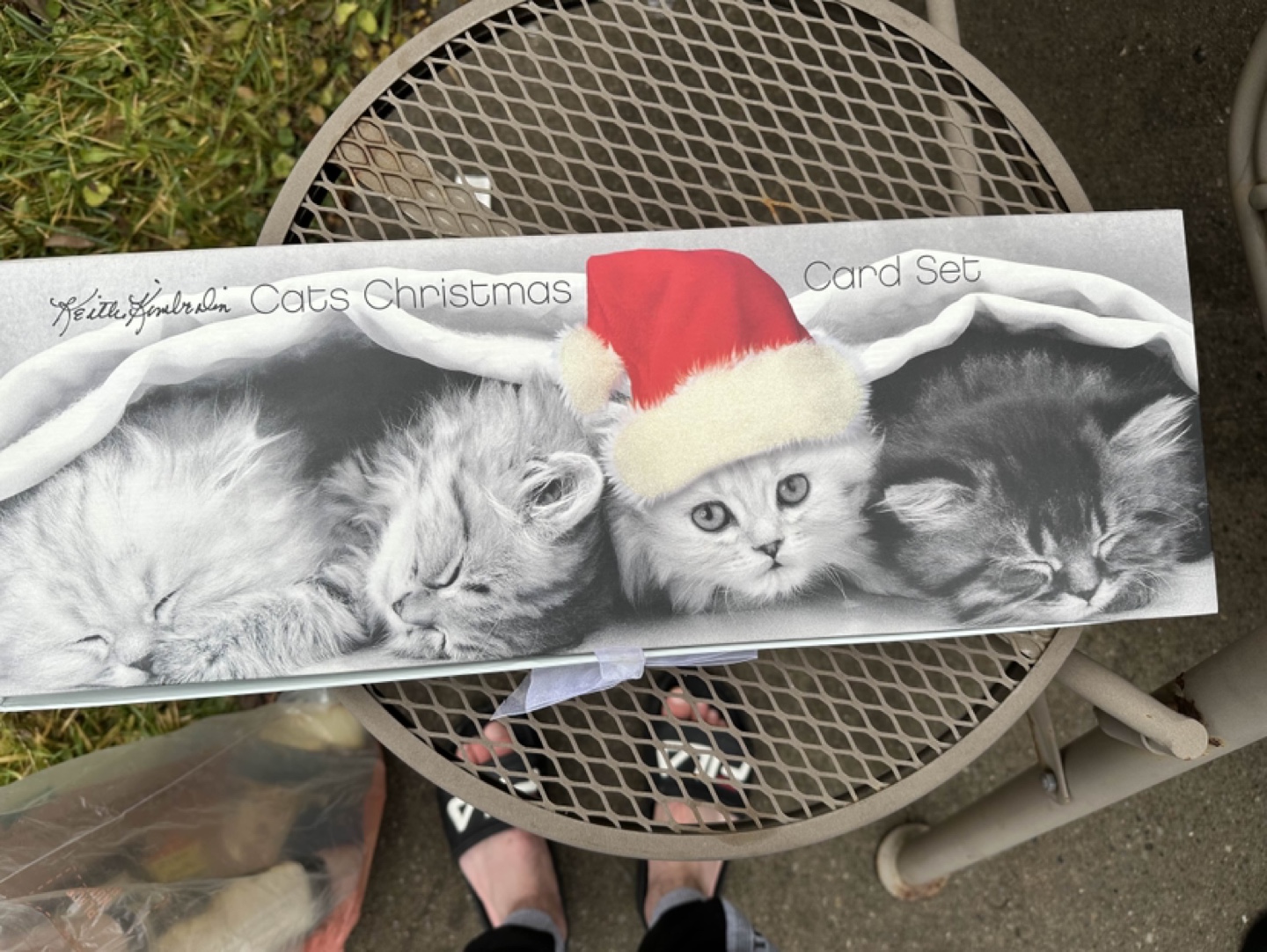 Cute Kitten-ish Cats Christmas Cards - photo 3