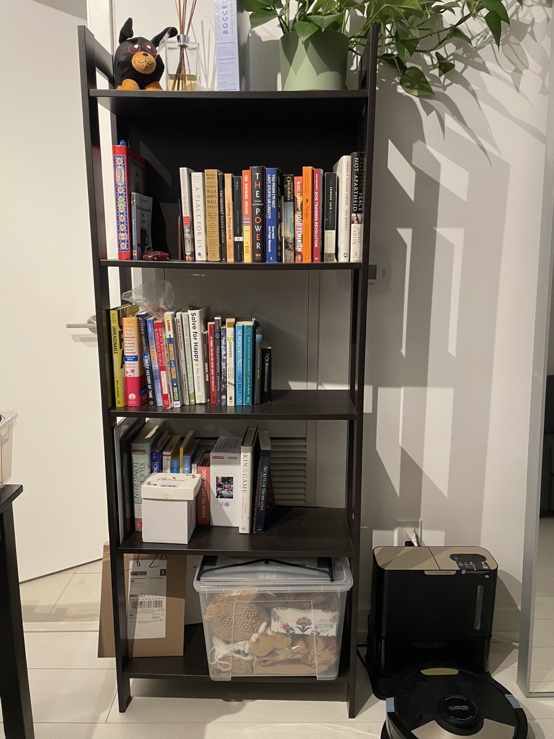 Dark brown Ikea Bookshelf (2 available for $10 each)