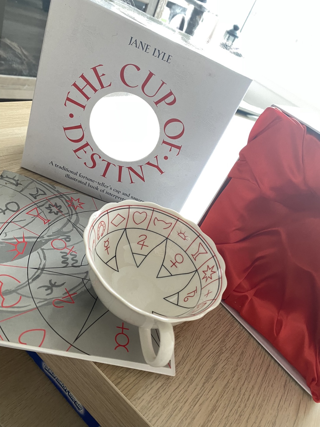 The Cup of Destiny Fortune Teller's Cup and Saucer