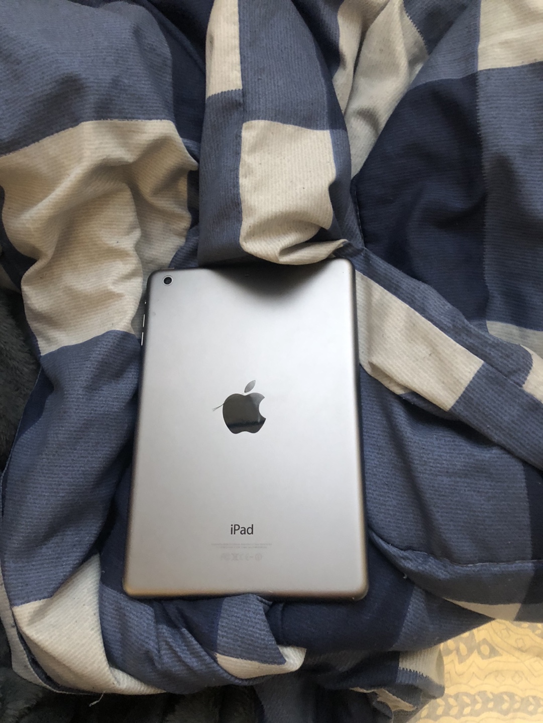 iPad Mini 2 - 16GB - Space Grey - photo 2