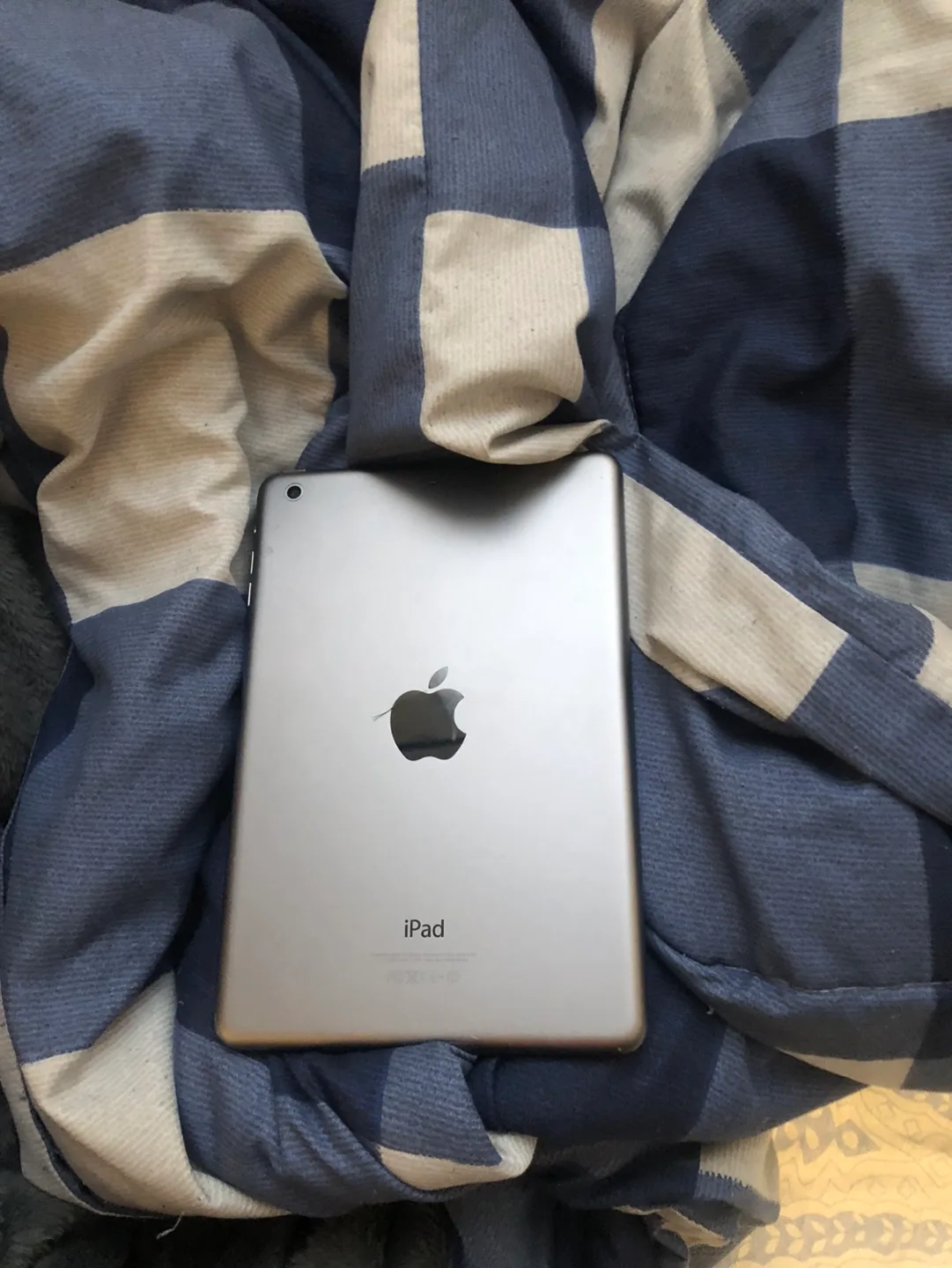 iPad Mini 2 - 16GB - Space Grey image indicator(2)