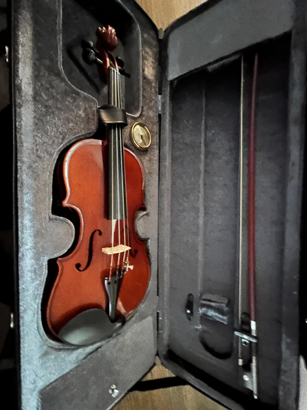 Violin with Case