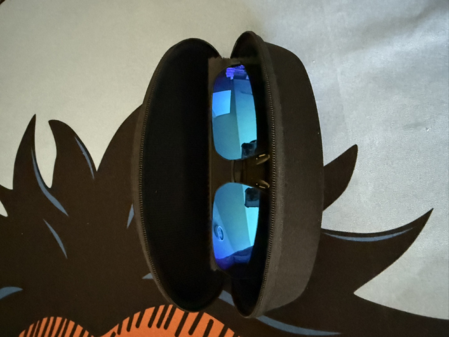 Sunglasses with Case