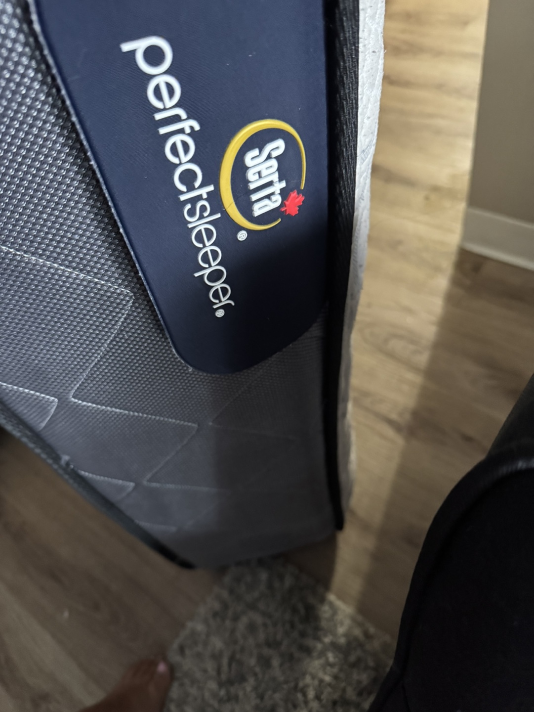 Serta Perfect Sleeper Mattress