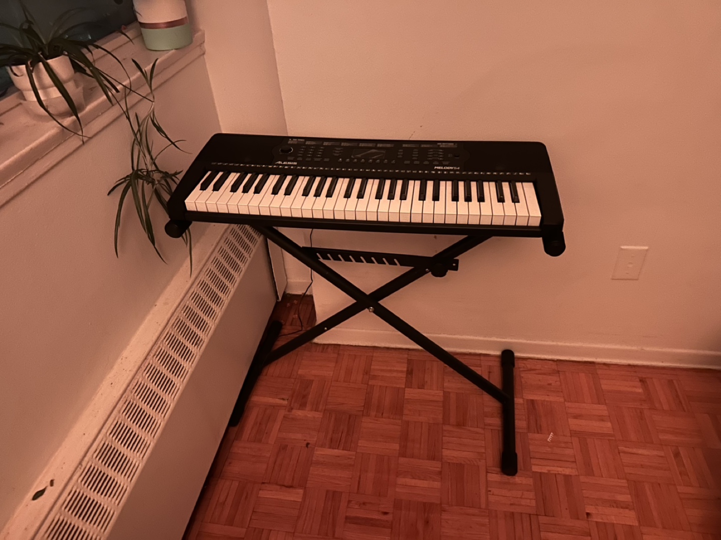Elevate your Music Journey with this Keyboard