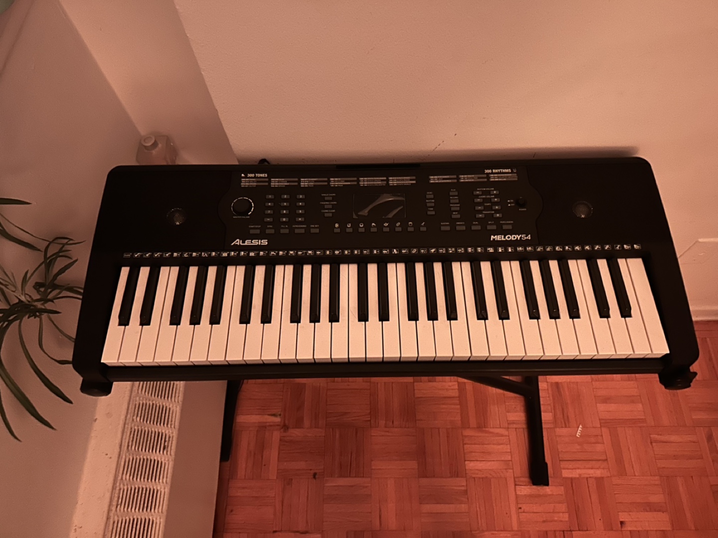 Elevate your Music Journey with this Keyboard - photo 2