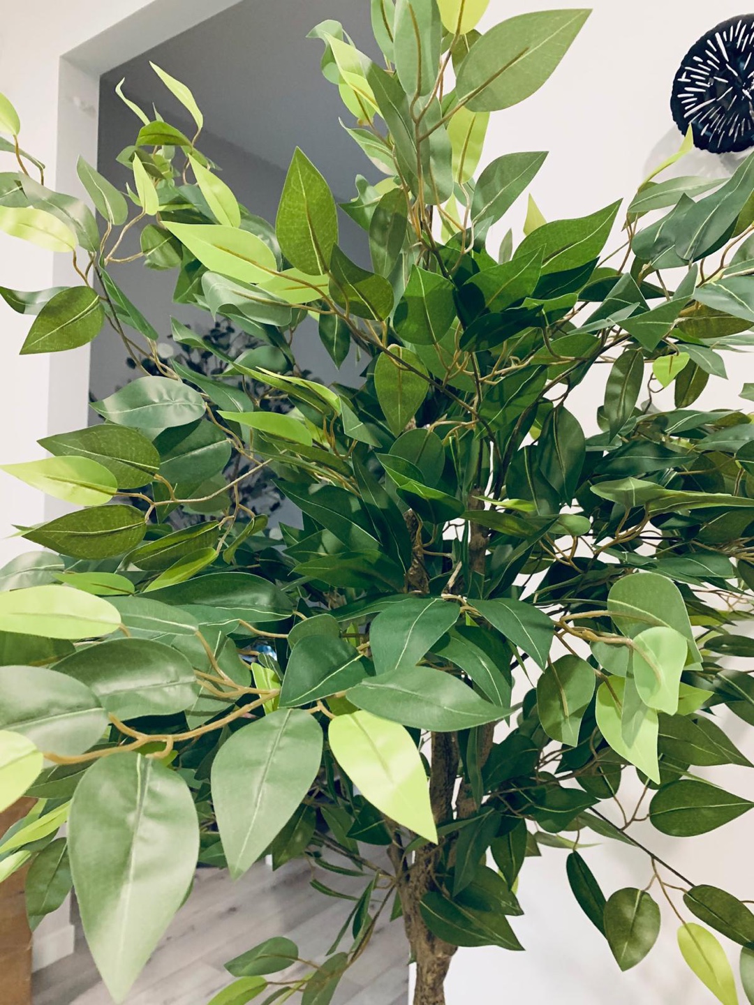 Brand new OAKRED 6FT Silk Artificial Ficus Tree with Natural Woo - photo 4