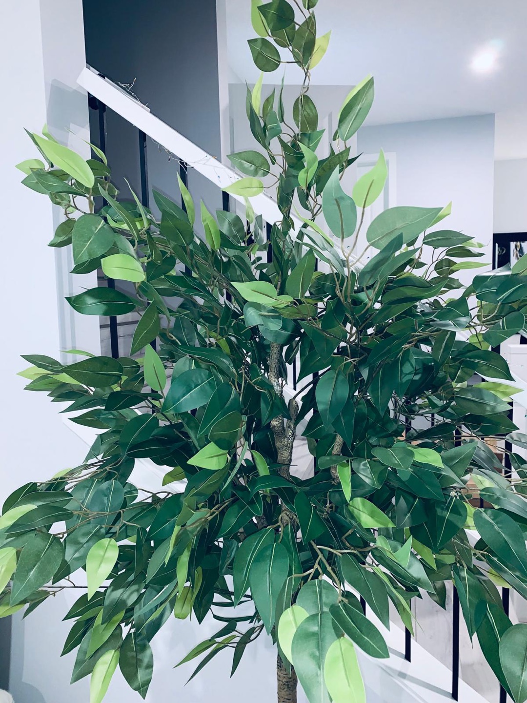 Brand new OAKRED 6FT Silk Artificial Ficus Tree with Natural Woo - photo 3