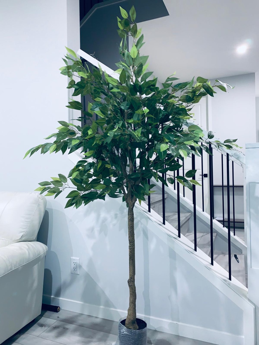 Brand new OAKRED 6FT Silk Artificial Ficus Tree with Natural Woo